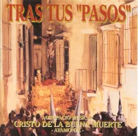 Portada del disco 'Tras tus pasos'