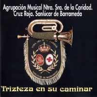 Portada del disco 'Tristeza en su caminar'